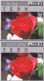 Sample Images