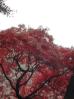 20031024/DSCN0169.JPG