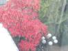 20031024/DSCN0173.JPG