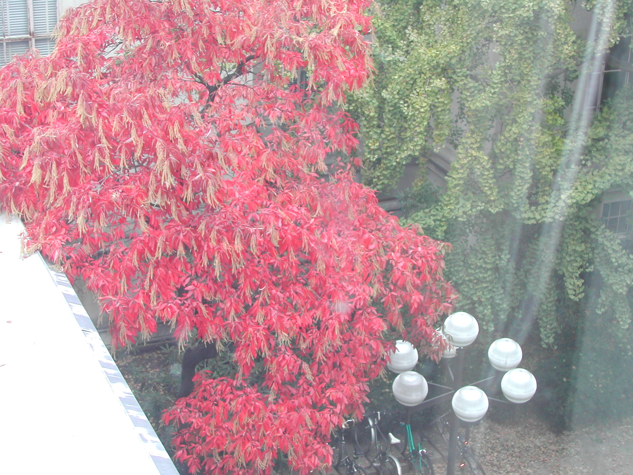 DSCN0173