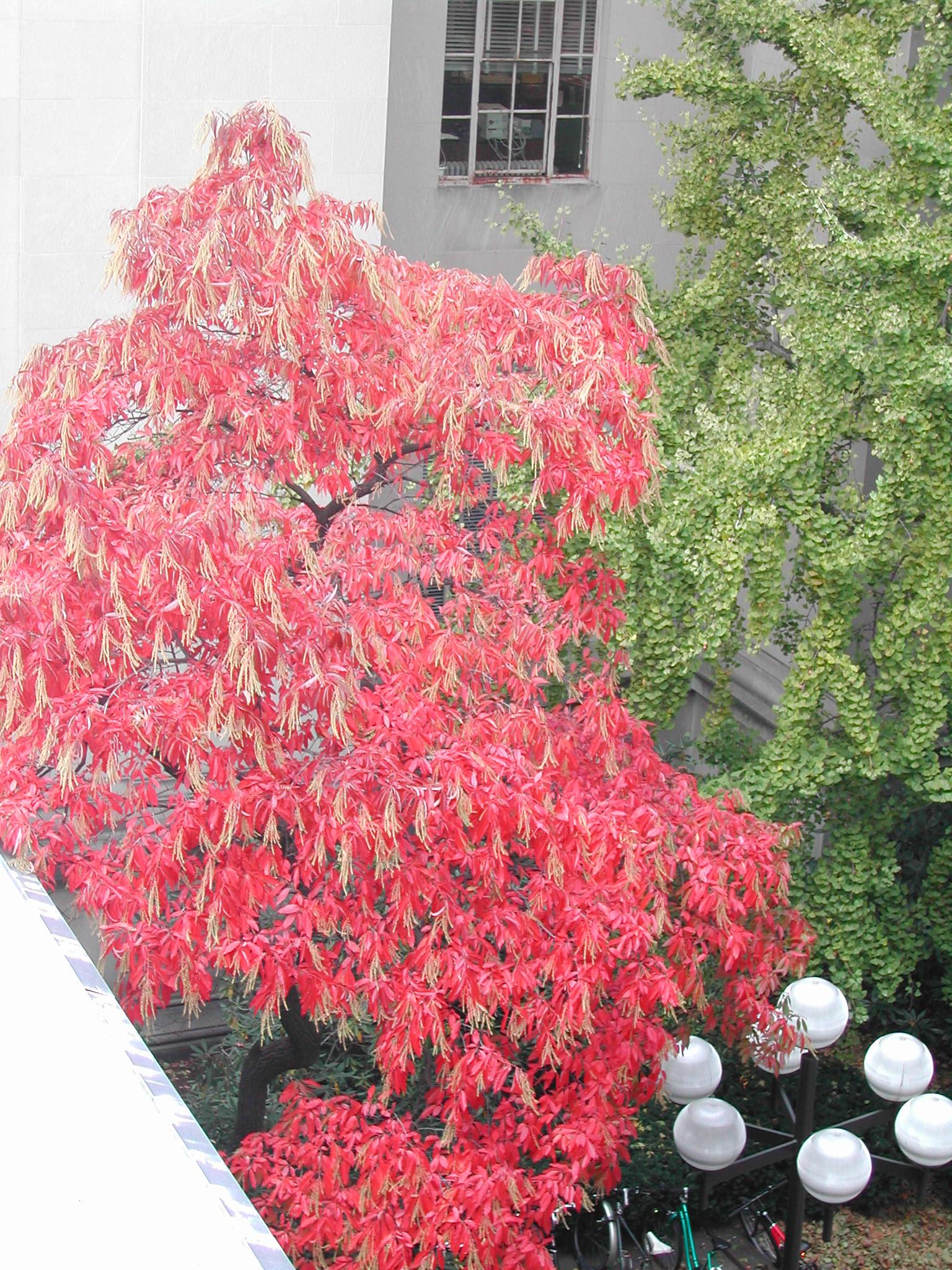 DSCN0174