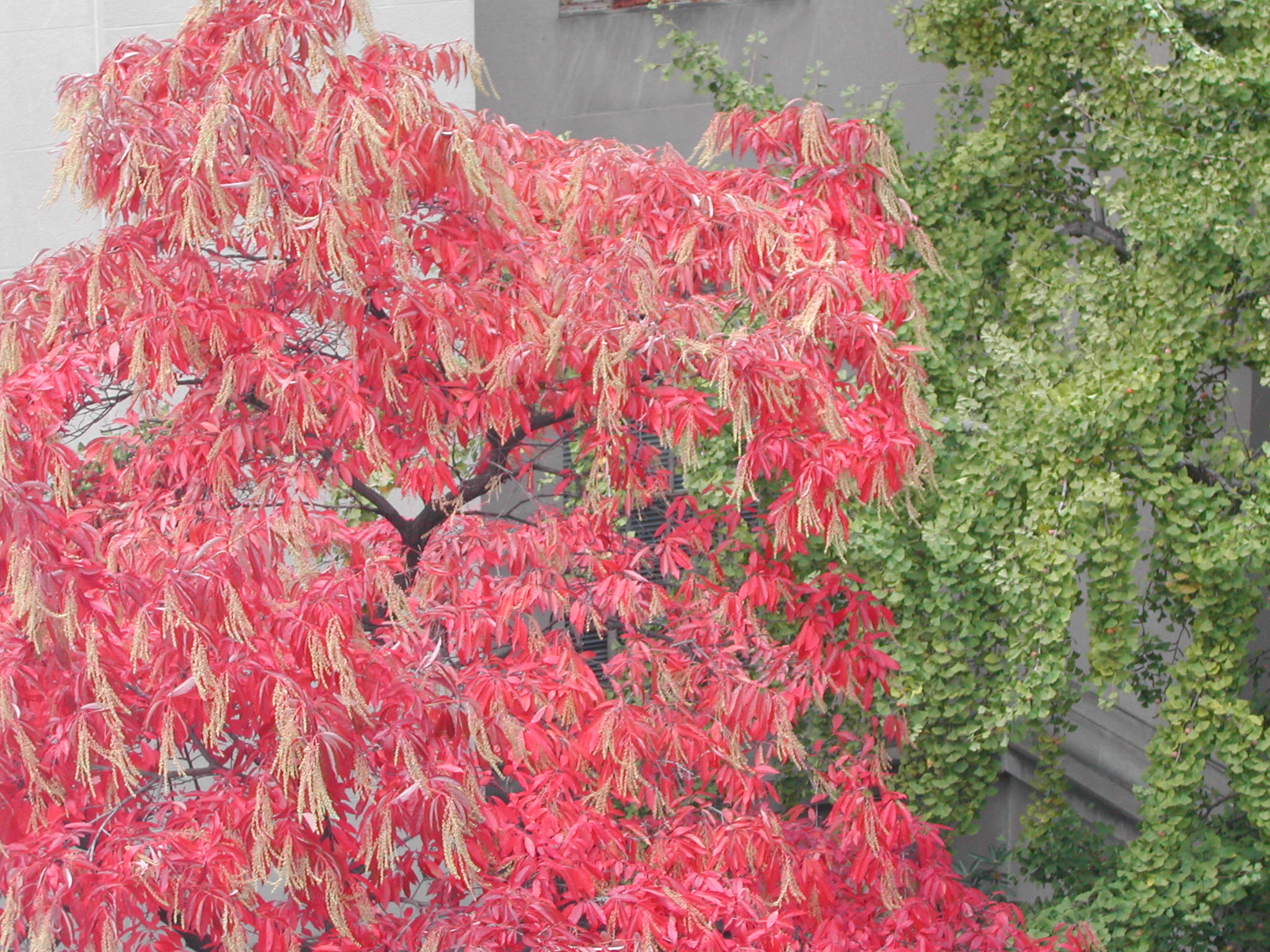 DSCN0175