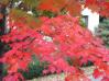 20031024/DSCN0176.JPG