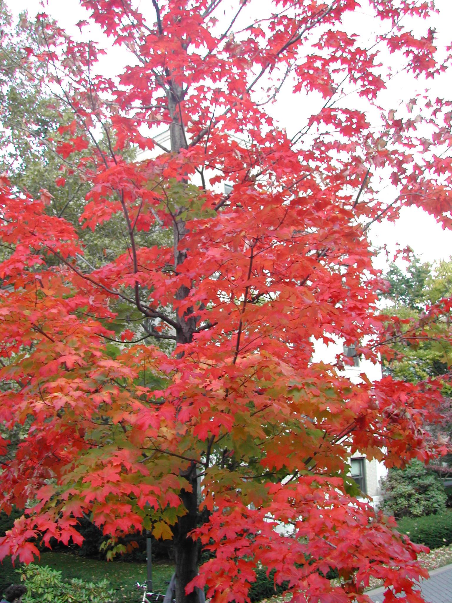 DSCN0178