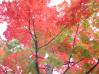 20031024/DSCN0180.JPG