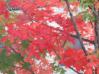 20031024/DSCN0183.JPG