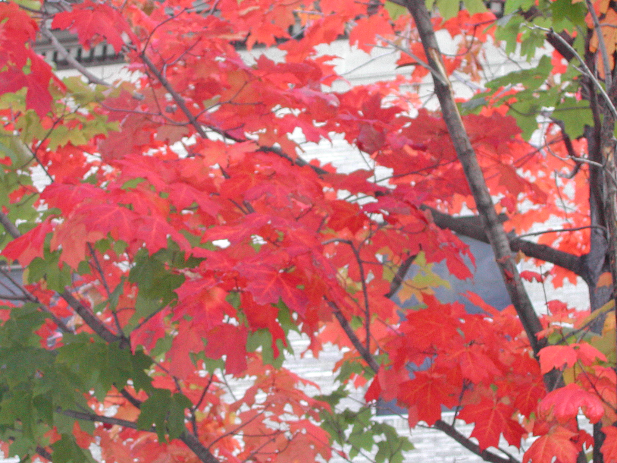 DSCN0183