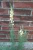 20020621/image06.jpg