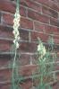 20020621/image13.jpg
