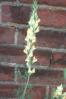 20020621/image14.jpg