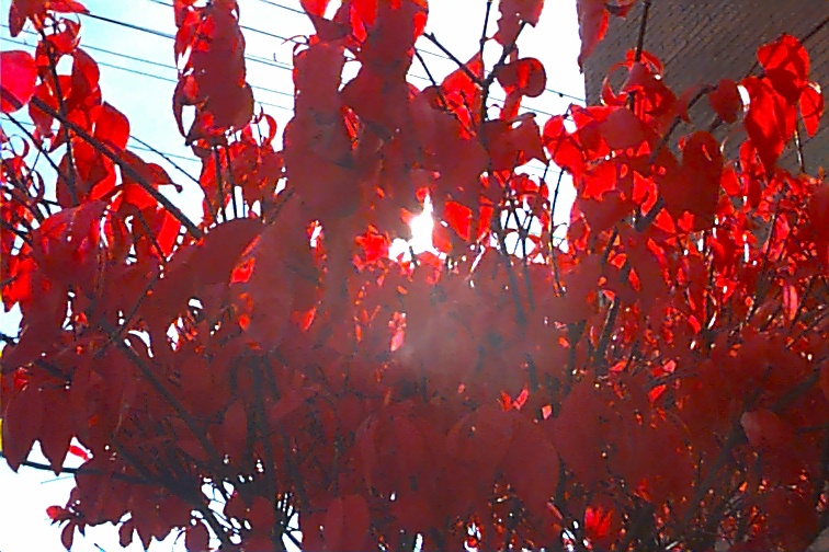 20021101-image15