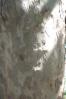 20020710/image06.jpg